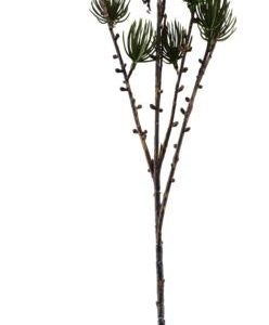 Gren, Larch by House Doctor (H: 97 cm. B: 15 cm., Natur)