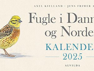 Fugle I Danmark Og Norden - Kalender 2025