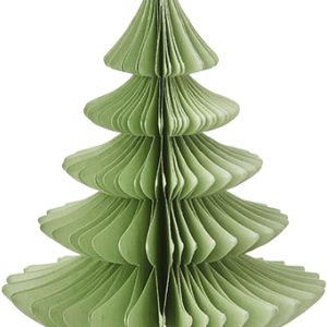 Paper Tree Evergreen Ming H: 16 cm