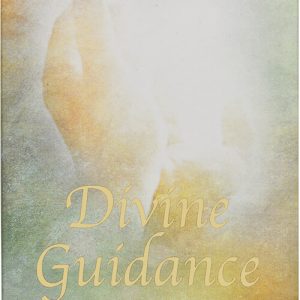 Divine Guidance - Tove Lucka - Bog