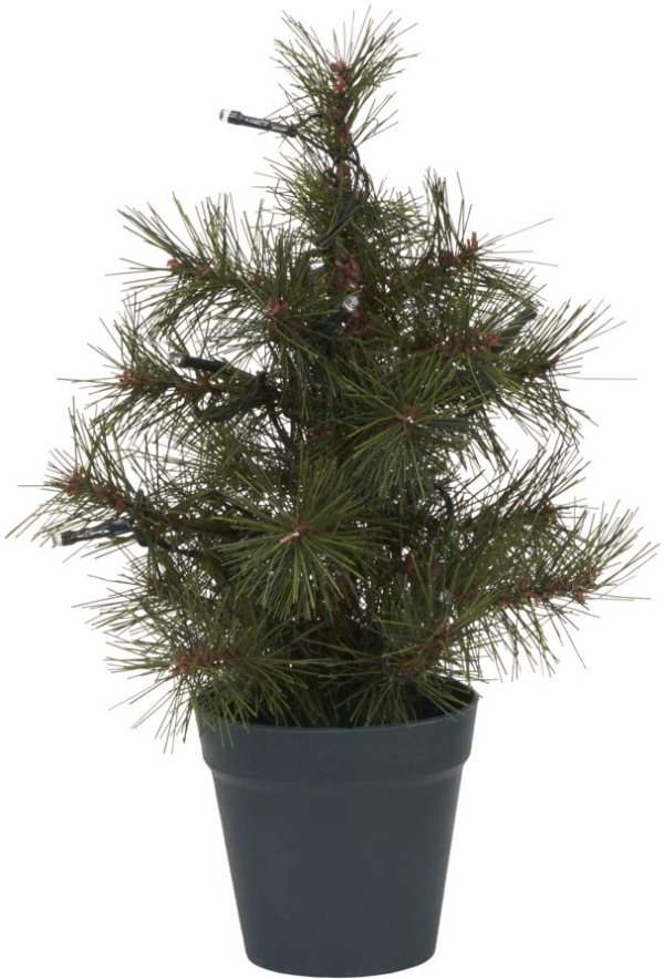 Pinus, Juletræ, mørkegrøn, H30 cm