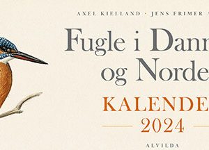 Fugle I Danmark Og Norden - Kalender 2024